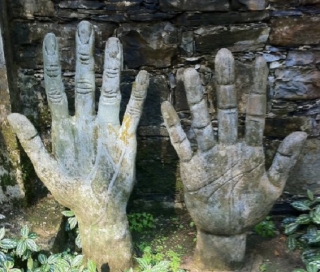  Surrealist garden 